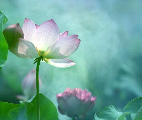 考本科有什么方法？