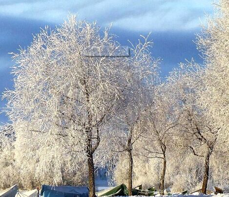 成人大专文凭有用吗?怎么考成人大专学历？
