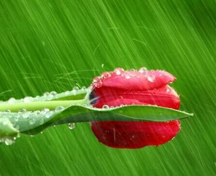 真大专毕业证多少钱?北京办个真大专毕业证多少钱？