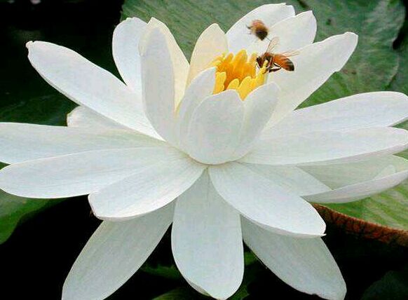 初中没读完怎么考大专文凭？