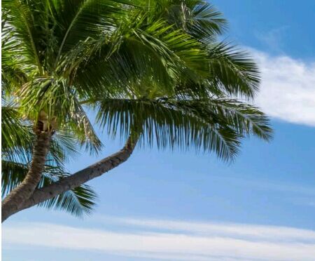 电大大专几年毕业，好考吗？