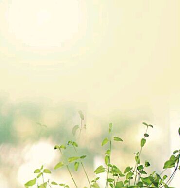 初中考大专难不难？