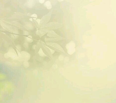 北京林业大学函授都有什么专业?