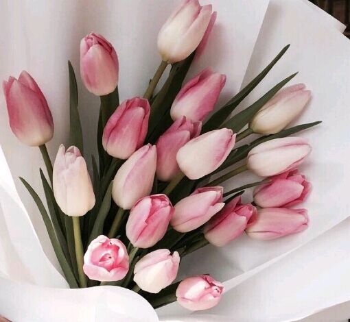 深圳自考本科多少钱?