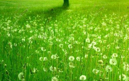 天津大学网络文凭含金量高吗?