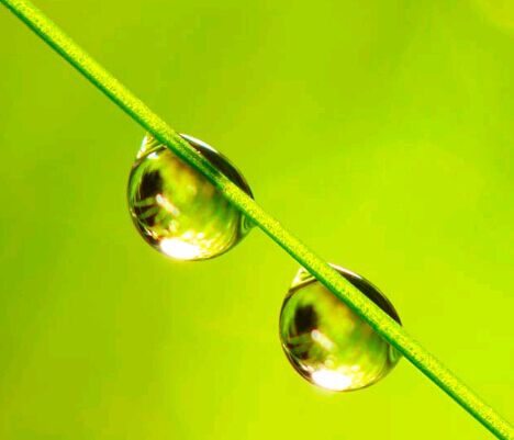 华南农业大学自考专业多不多？