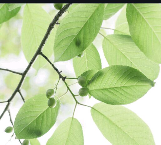 广东外语外贸大学自考难度有多大?