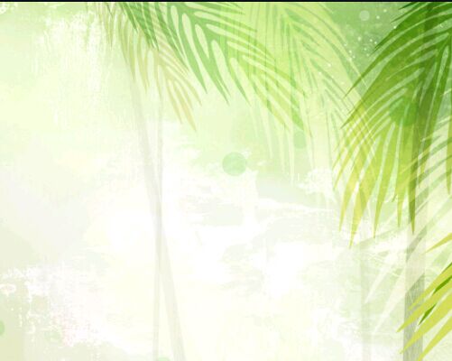 北京外国语大学自考专科是全日制专科吗?