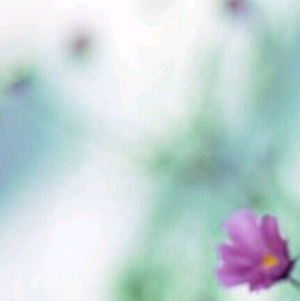 专科大一能参加自考本科吗？