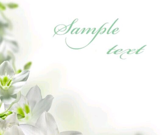 广东金融学院会计自考考什么，难吗?