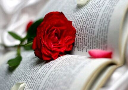 怎样才能通过金融博士英语考试