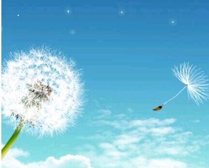 在职工程博士怎么选择院校？