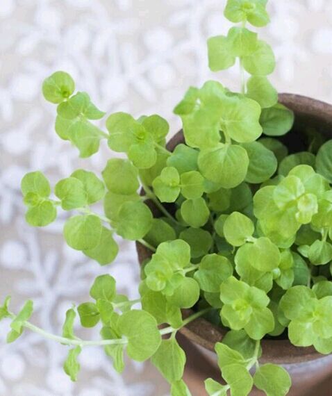 进修在职博士想要拿到博士学位兴趣重要吗？