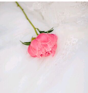 如何把在职博士毕业论文写好？