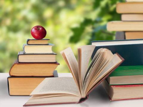 在职博士能工作吗