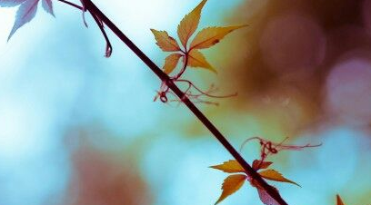 2021年哪些院校招生在职博士发布了！