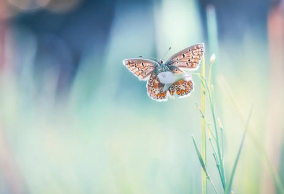海口总裁班培训介绍