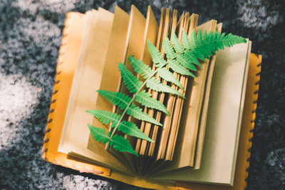 适合金融在职博士报考的条件是什么？