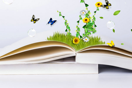 新艾西国立科技大学博士高校老师读吗？