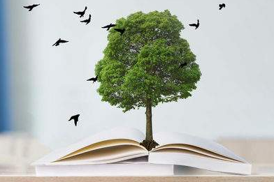 2021亚洲城市大学硕士学费是多少？