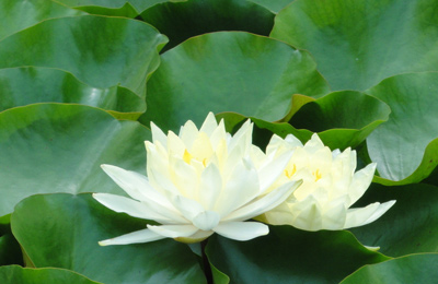 佛学班和哲学班的区别是什么