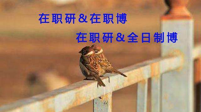 在职硕士博士连读