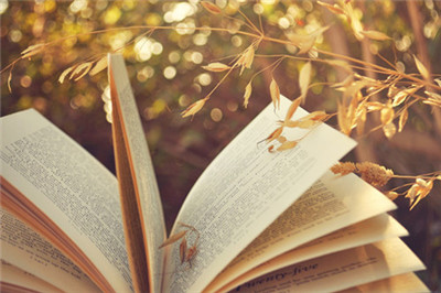 在职博士还能报考吗