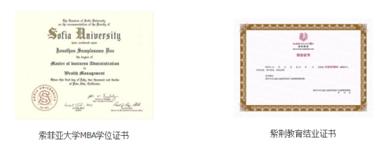 美国索菲亚大学财富管理mba