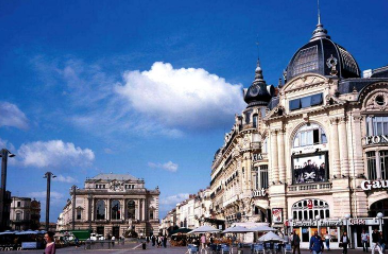 蒙彼利埃大学靠谱吗