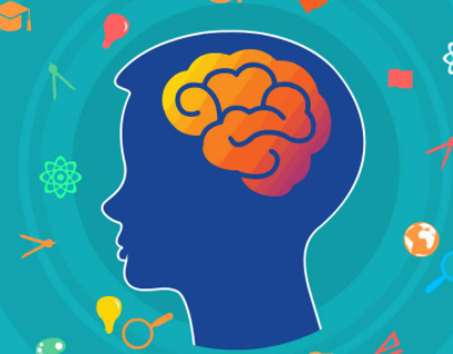 vipcode编程口碑好