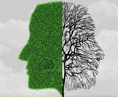 中科院取消心理咨询师证书了没？