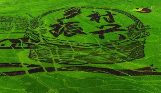 杭州乡村振兴战略培训教学模式