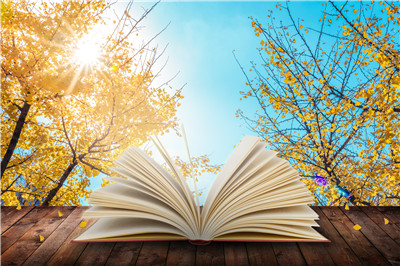 海文考研辅导班有用吗