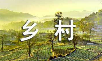 乡村振兴电商带头人培训介绍