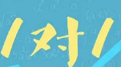 新航道有一对一吗