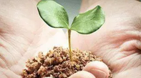 2022年心理咨询师考试内容介绍