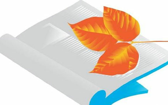 二级建造师什么时候备考