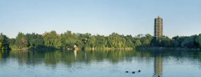 点击浏览下一页