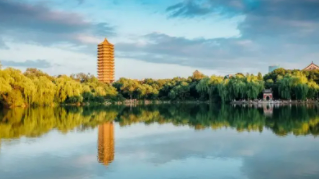 点击浏览下一页