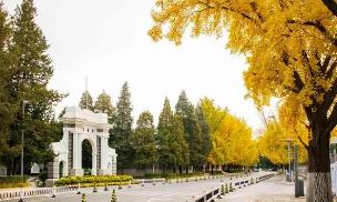 点击浏览下一页