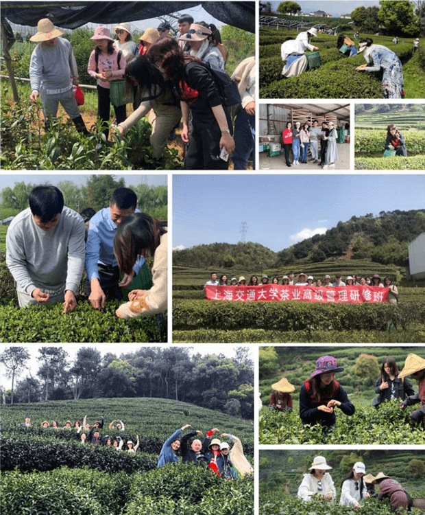 上海交通大学茶业高级管理研修班