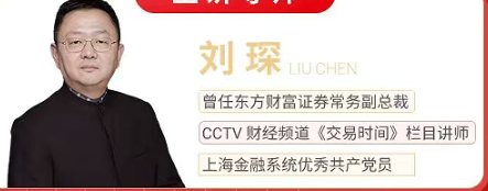 2026年刘琛股票水平如何?