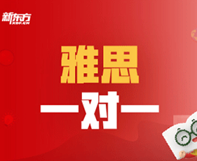 天津新东方雅思班课介绍