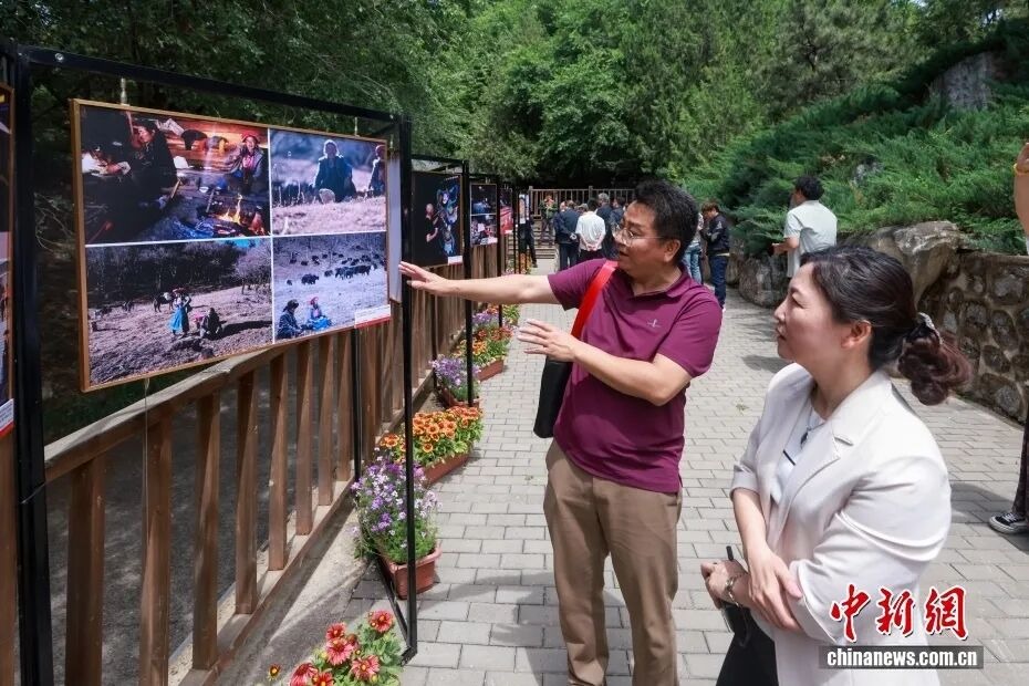 康华兰老师家文化影像创作基地落户香山诗书园