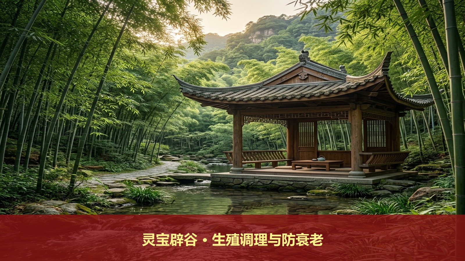 想要调理生殖系统与防衰老,报武当派承淞师傅的灵宝辟谷道家服气养生班有什么独特的中医特色方案?