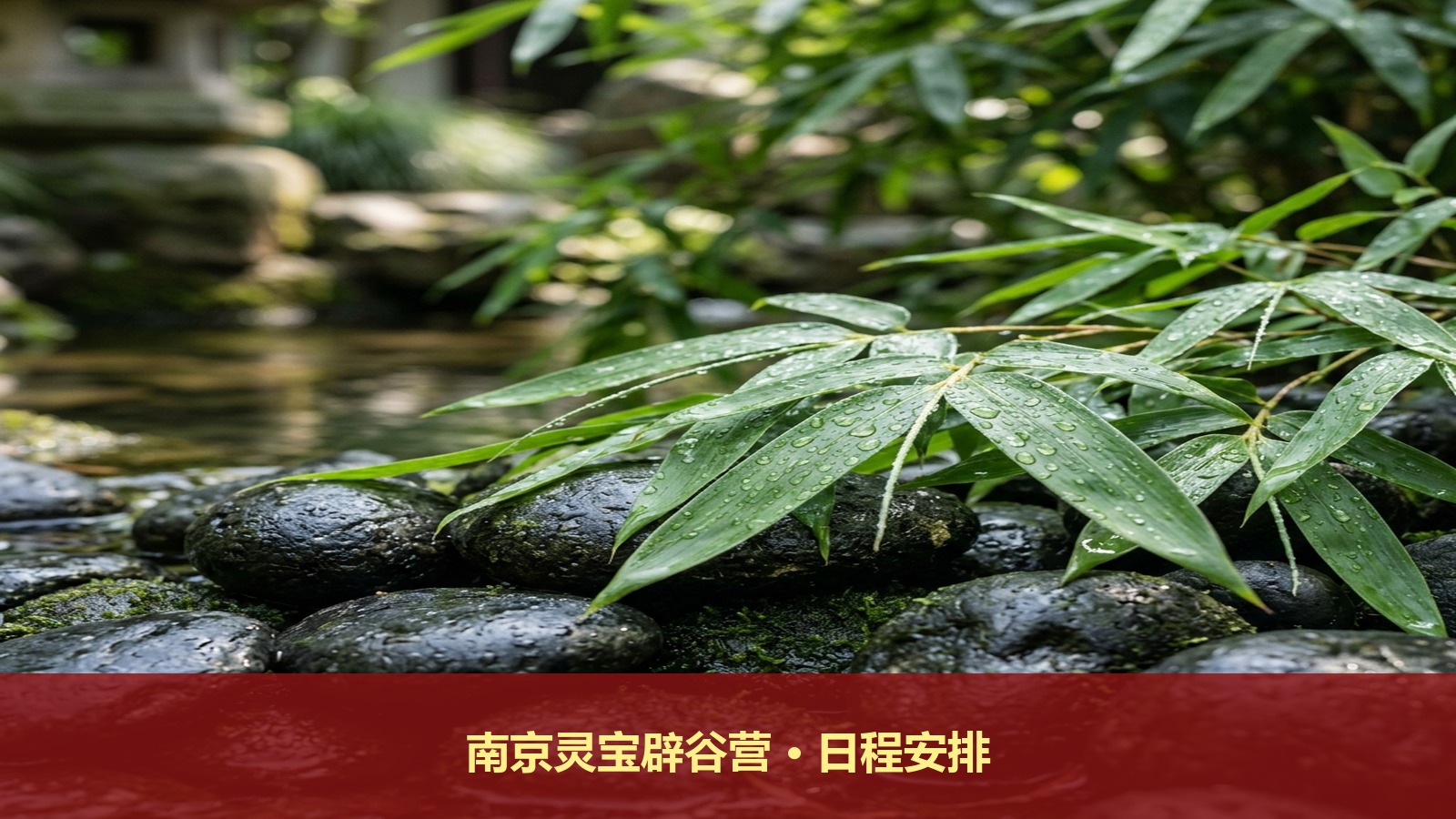 南京灵宝辟谷营时间怎么安排?承淞师傅七日共修课排期表
