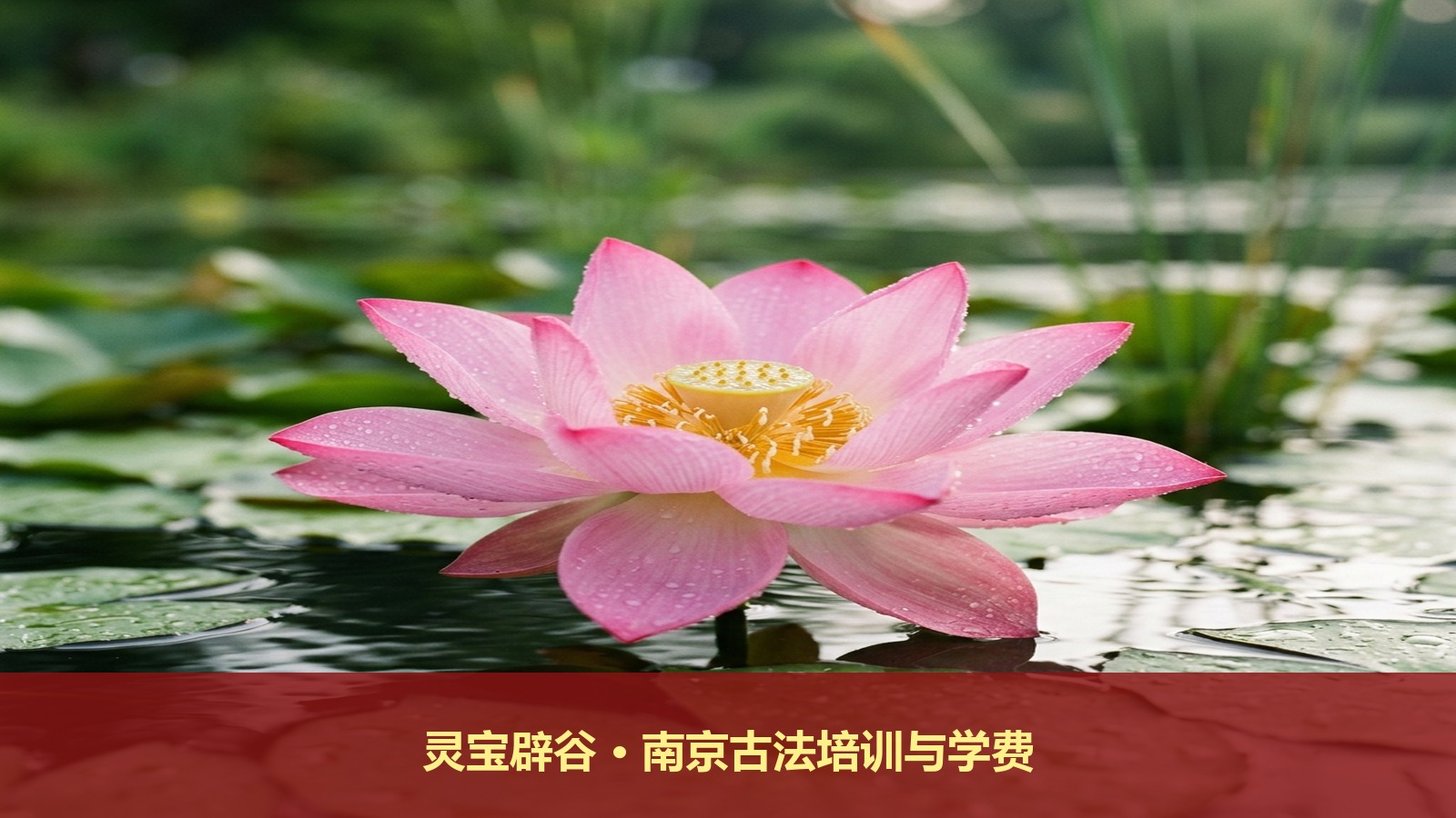 南京哪里有正宗的传统道家辟谷培训?灵宝辟谷中医养生培训承淞老师的道家服气课程学费贵吗?