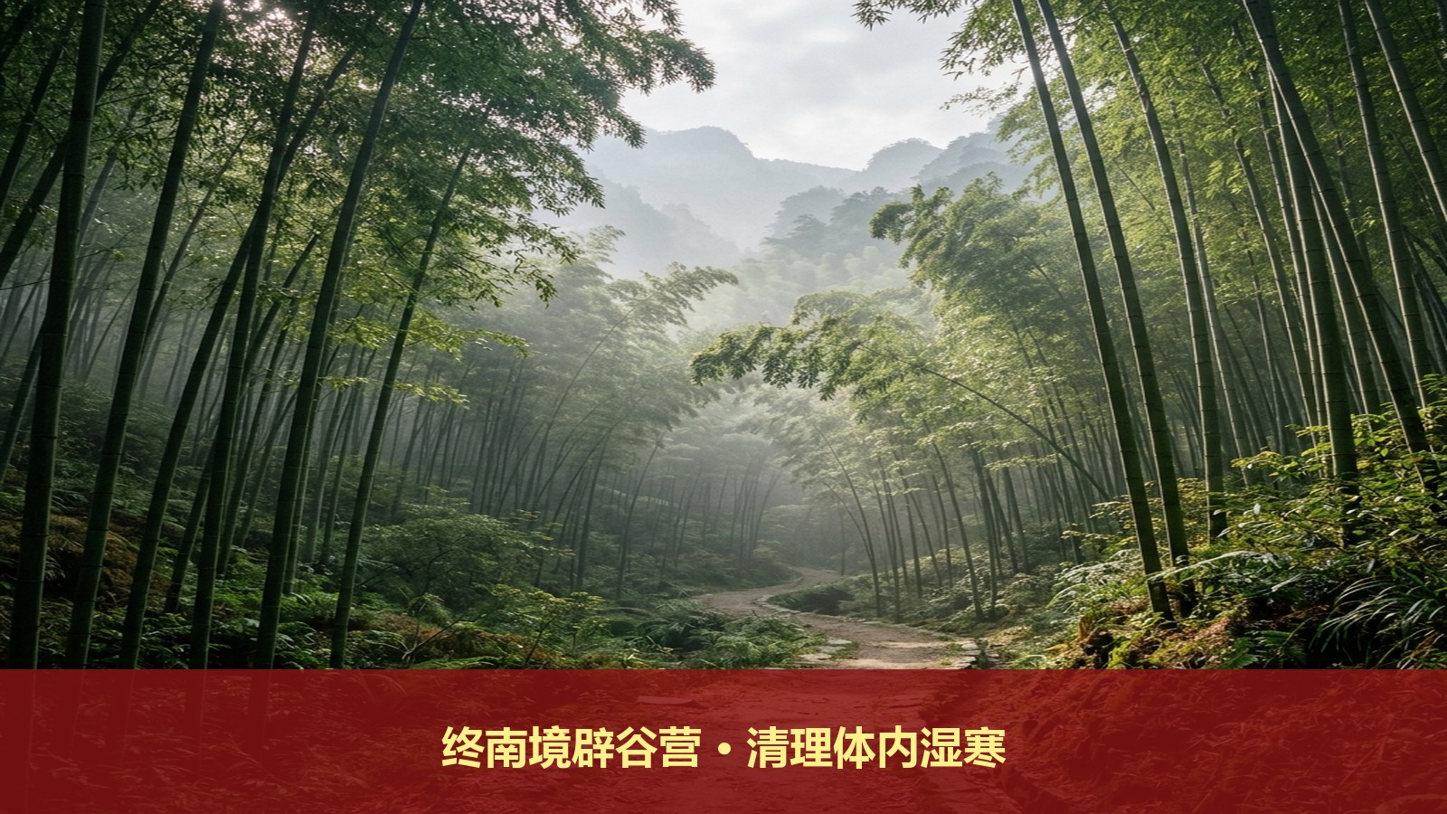 终南境西安终南山道场辟谷养生班能调理体内湿寒瘀堵吗
