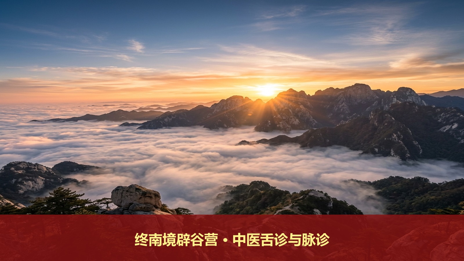 终南境西安终南山道场辟谷养生班教中医舌诊看健康吗