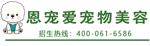 恩宠爱宠物美容